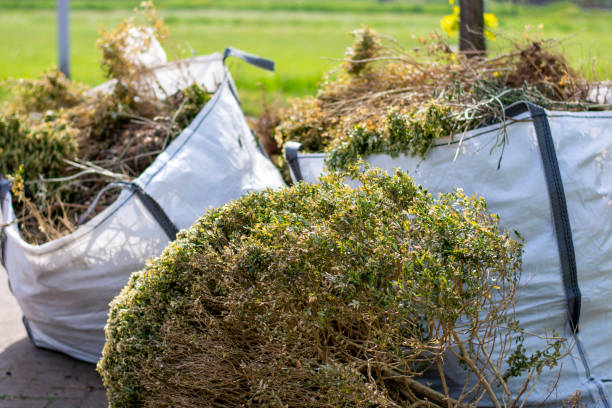 Best Shed Removal  in Perry, MI