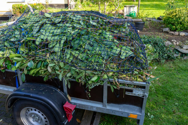 Same-Day Junk Removal Services in Perry, MI